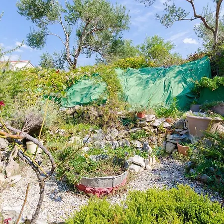 Apartman Ines